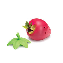 Cargar imagen en el visor de la galería, TUTTI &lt;br&gt; Infusor de frutas &lt;br&gt; Ototo
